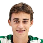 Lucas Taibo Dominguez