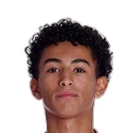 Francisco Bernardes de Freitas Neto