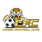 Tigers FC
